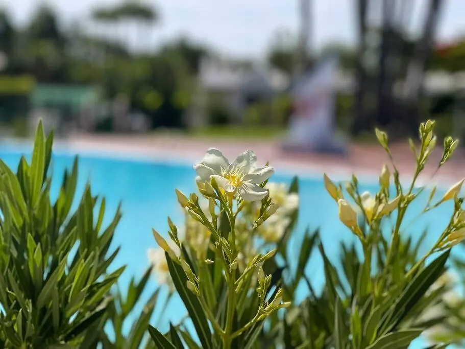 Apartman Cozy & Modern Bungalow W/Private Garden Bbq+Wifi Maspalomas